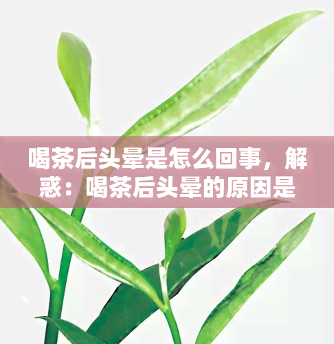 喝茶后头晕是怎么回事，解惑：喝茶后头晕的原因是什么？