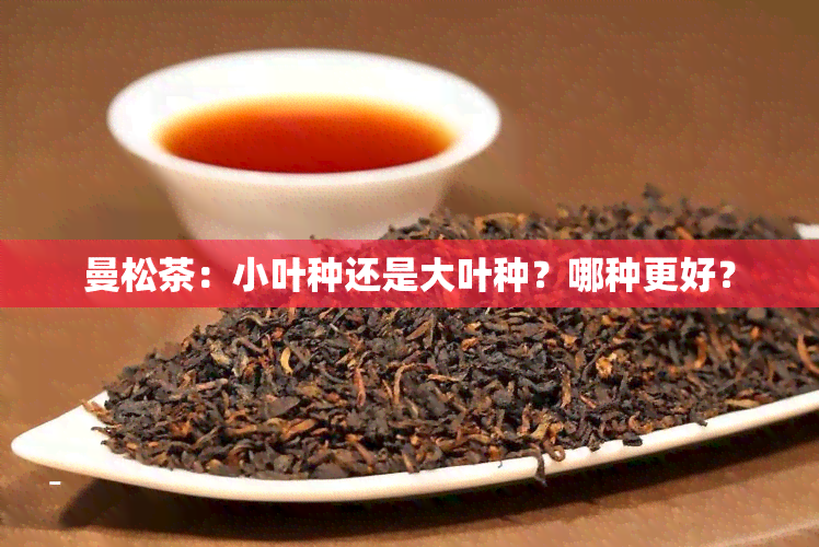 曼松茶：小叶种还是大叶种？哪种更好？