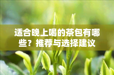 适合晚上喝的茶包有哪些？推荐与选择建议