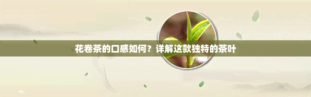 花卷茶的口感如何？详解这款独特的茶叶