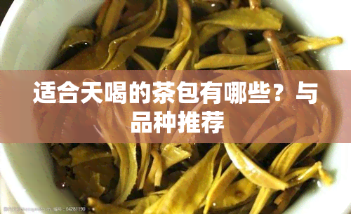 适合天喝的茶包有哪些？与品种推荐