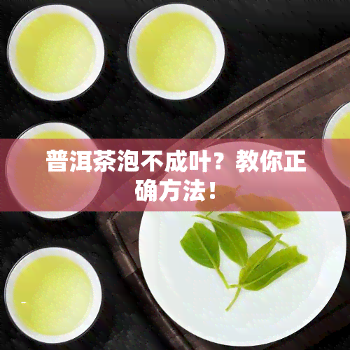 普洱茶泡不成叶？教你正确方法！