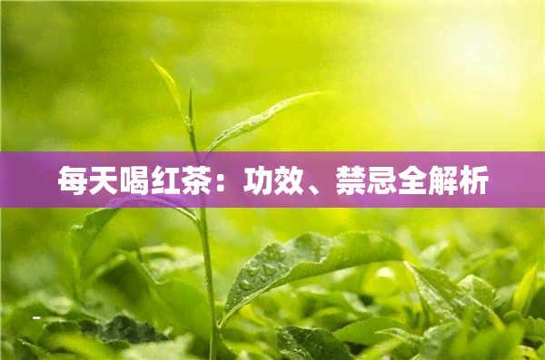 每天喝红茶：功效、禁忌全解析