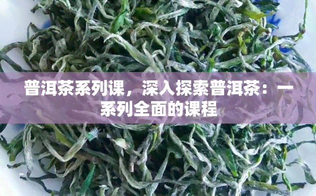 普洱茶系列课，深入探索普洱茶：一系列全面的课程