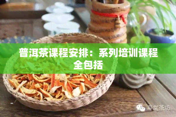 普洱茶课程安排：系列培训课程全包括