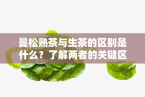 曼松熟茶与生茶的区别是什么？了解两者的关键区别