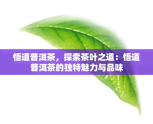 悟道普洱茶，探索茶叶之道：悟道普洱茶的独特魅力与品味