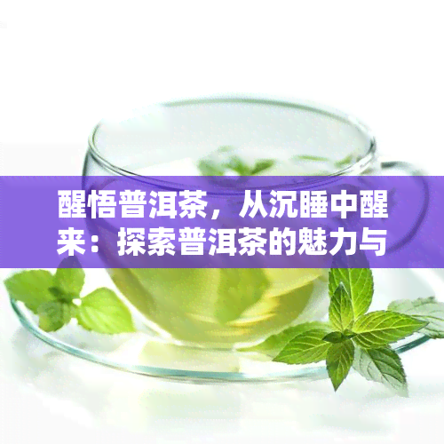 醒悟普洱茶，从沉睡中醒来：探索普洱茶的魅力与觉醒之旅