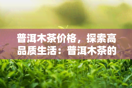 普洱木茶价格，探索高品质生活：普洱木茶的价格解析与选购指南