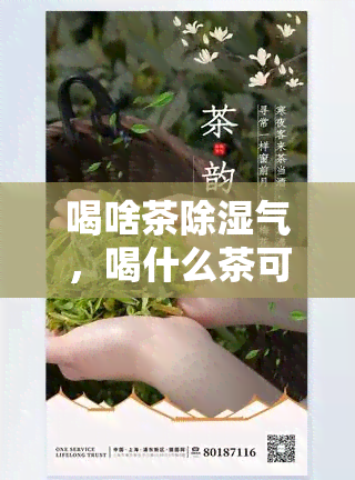 喝啥茶除湿气，喝什么茶可以有效除湿气？这里有你需要的答案！