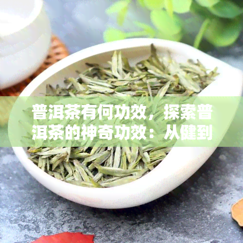 普洱茶有何功效，探索普洱茶的神奇功效：从健到美容，一文详解