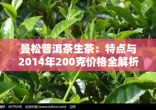 曼松普洱茶生茶：特点与2014年200克价格全解析