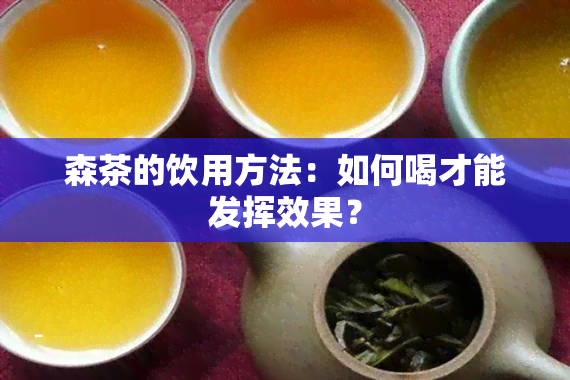 森茶的饮用方法：如何喝才能发挥效果？