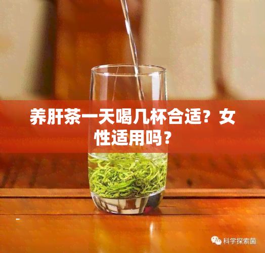 养肝茶一天喝几杯合适？女性适用吗？