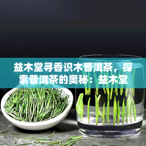 益木堂寻香识木普洱茶，探索普洱茶的奥秘：益木堂带你寻香识木