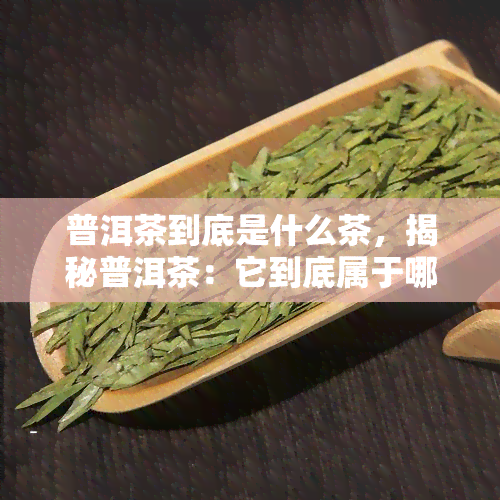 普洱茶到底是什么茶，揭秘普洱茶：它到底属于哪一类茶？