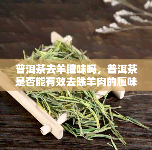 普洱茶去羊膻味吗，普洱茶是否能有效去除羊肉的膻味？