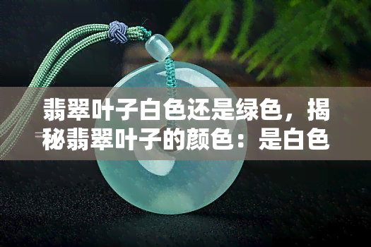 翡翠叶子白色还是绿色，揭秘翡翠叶子的颜色：是白色还是绿色？