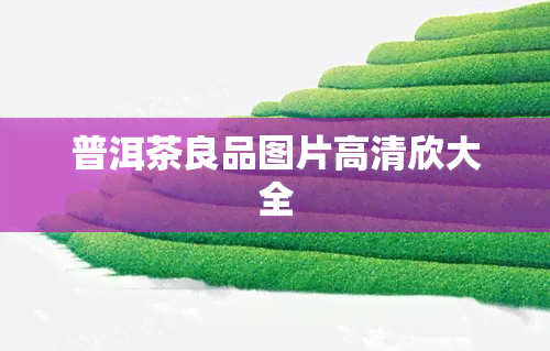 普洱茶良品图片高清欣大全