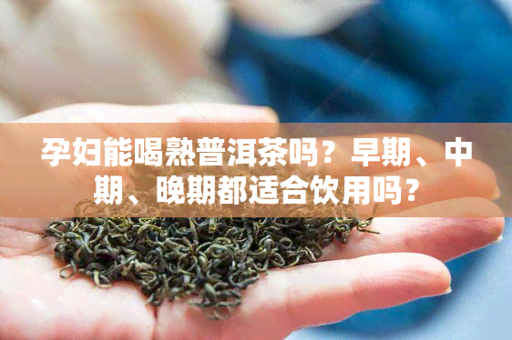 孕妇能喝熟普洱茶吗？早期、中期、晚期都适合饮用吗？