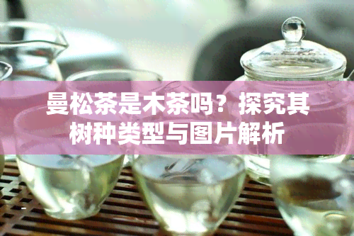 曼松茶是木茶吗？探究其树种类型与图片解析