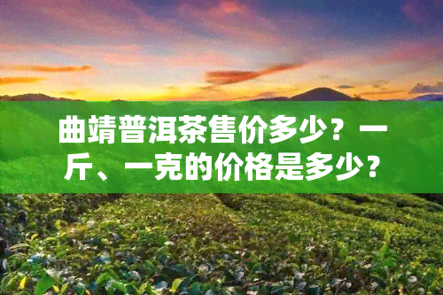 曲靖普洱茶售价多少？一斤、一克的价格是多少？