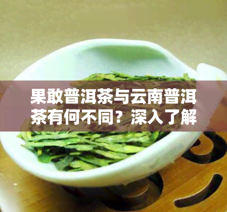 果敢普洱茶与云南普洱茶有何不同？深入了解两种茶的差异