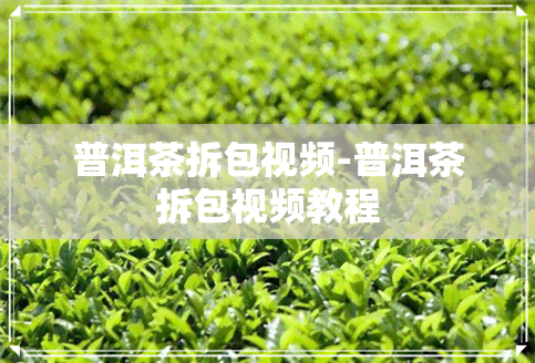 普洱茶拆包视频-普洱茶拆包视频教程