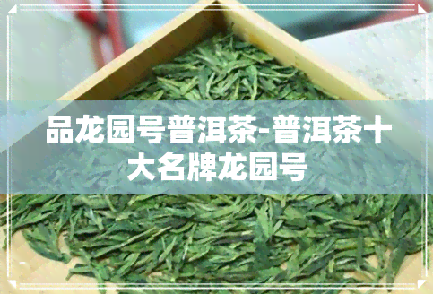 品龙园号普洱茶-普洱茶十大名牌龙园号