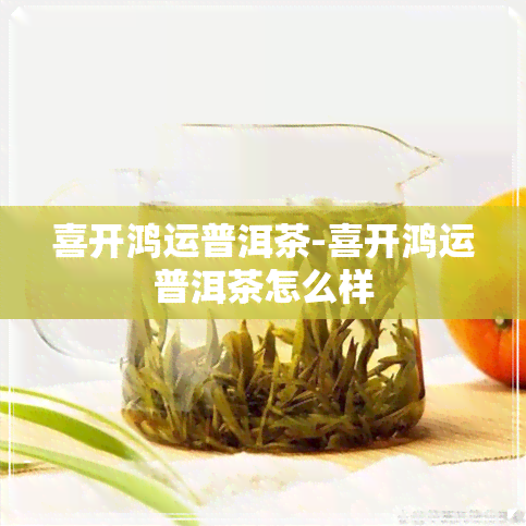 喜开鸿运普洱茶-喜开鸿运普洱茶怎么样