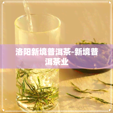 洛阳新境普洱茶-新境普洱茶业