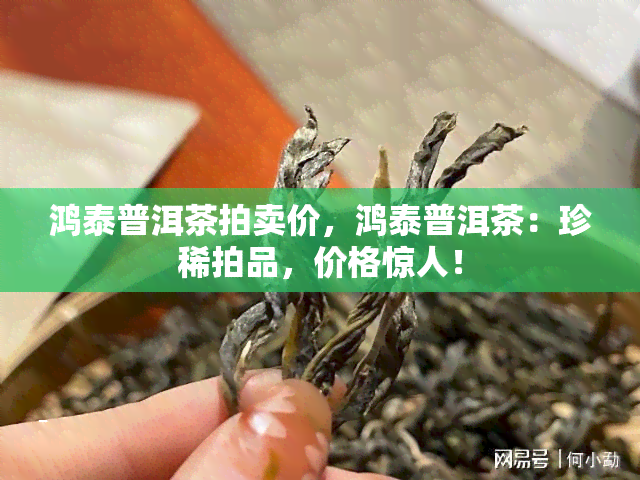 鸿泰普洱茶拍卖价，鸿泰普洱茶：珍稀拍品，价格惊人！