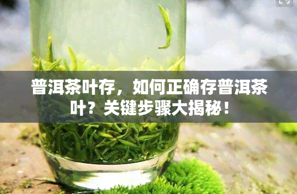 普洱茶叶存，如何正确存普洱茶叶？关键步骤大揭秘！