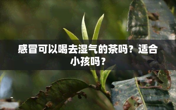 感冒可以喝去湿气的茶吗？适合小孩吗？