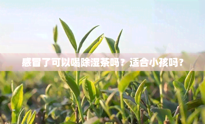 感冒了可以喝除湿茶吗？适合小孩吗？