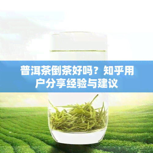 普洱茶倒茶好吗？知乎用户分享经验与建议