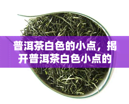 普洱茶白色的小点，揭开普洱茶白色小点的神秘面纱