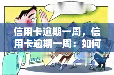 信用卡逾期一周，信用卡逾期一周：如何避免高额罚款和信用记录受损？