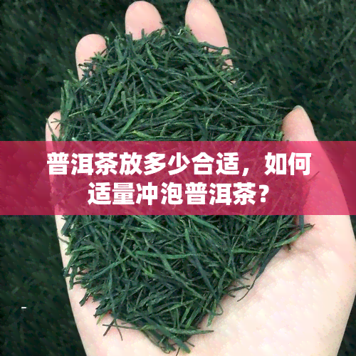 普洱茶放多少合适，如何适量冲泡普洱茶？