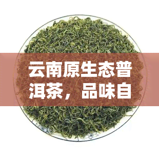 云南原生态普洱茶，品味自然：探寻云南原生态普洱茶的魅力