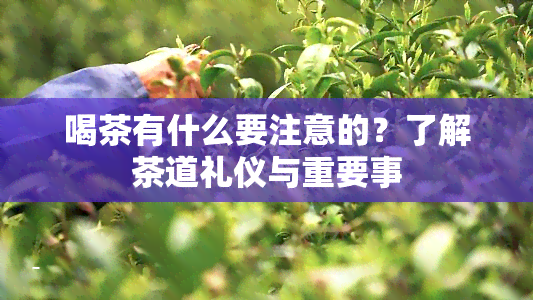 喝茶有什么要注意的？了解茶道礼仪与重要事