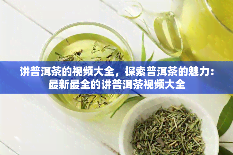 讲普洱茶的视频大全，探索普洱茶的魅力：最新最全的讲普洱茶视频大全