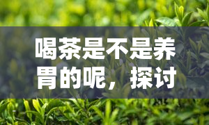 喝茶是不是养胃的呢，探讨茶叶的养胃功效：喝茶真的可以帮助保护胃部吗？