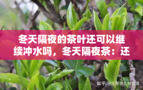 冬天隔夜的茶叶还可以继续冲水吗，冬天隔夜茶：还能不能继续冲水？