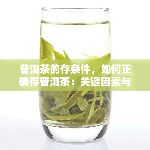 普洱茶的存条件，如何正确存普洱茶：关键因素与实用技巧