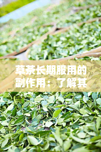 草茶长期服用的副作用：了解其可能带来的影响