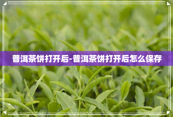 普洱茶饼打开后-普洱茶饼打开后怎么保存