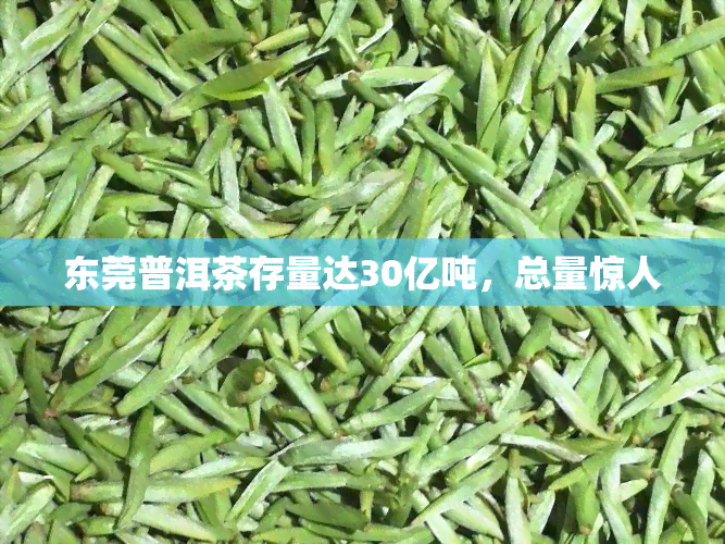 东莞普洱茶存量达30亿吨，总量惊人