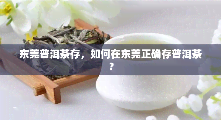 东莞普洱茶存，如何在东莞正确存普洱茶？