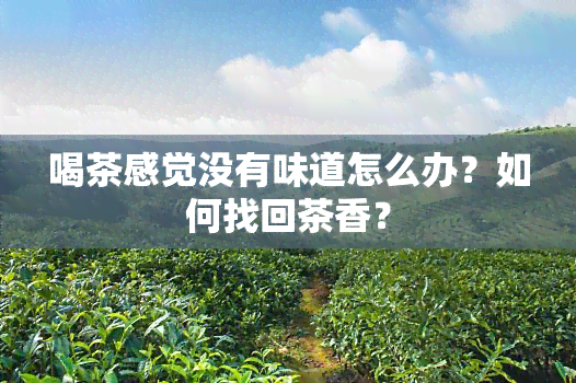 喝茶感觉没有味道怎么办？如何找回茶香？